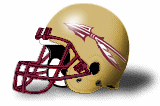 FSU helmet